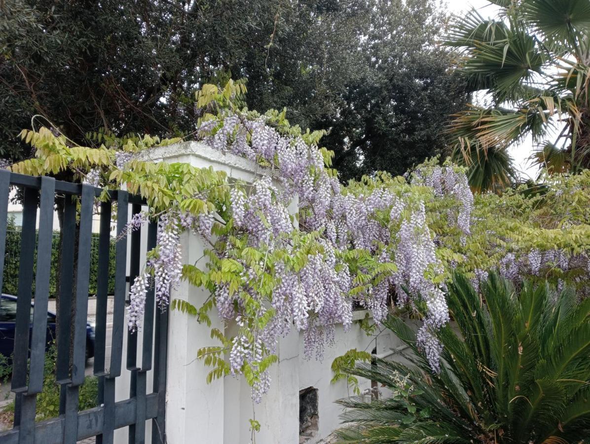 לינה וארוחת בוקר לצ'ה A Casa Di Gio מראה חיצוני תמונה